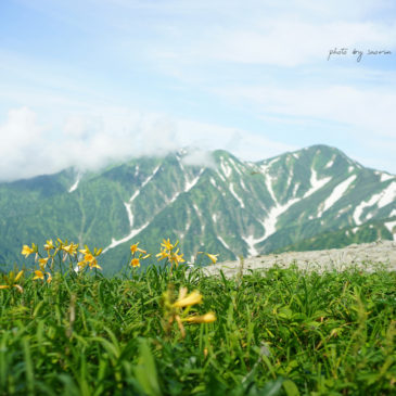 8月の夏季休業・イベント予定・営業カレンダー