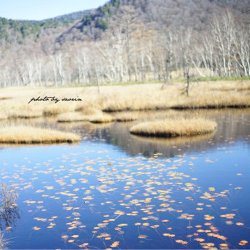 9月のイベント予定・営業カレンダー