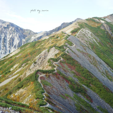 11月のイベント予定・営業カレンダー