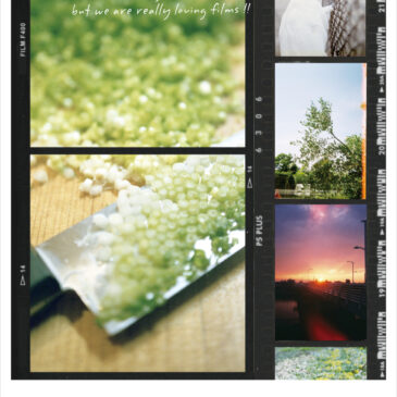 Brownies 35!  – my usual – 4/12（土）～20（日） ※出展者募集中！