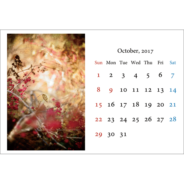 apple_calendar_desk10