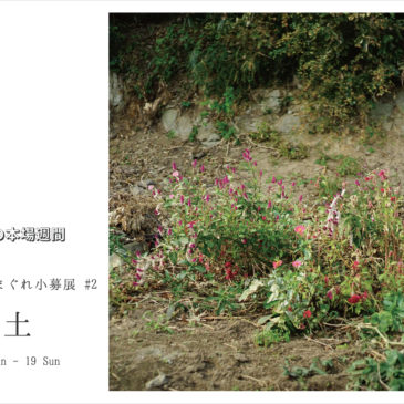 ホトリ気まぐれ小募展 #2「草と土」2/5（日）～19（日）出展者募集！