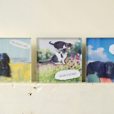 【ホトリ写真塾・写真の残しかた教室】 レイヤードコラージュフォトパネル