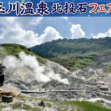 玉川温泉 北投石フェア 8/18（月）～23（土）