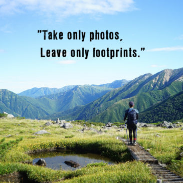 yamadori はじめました。